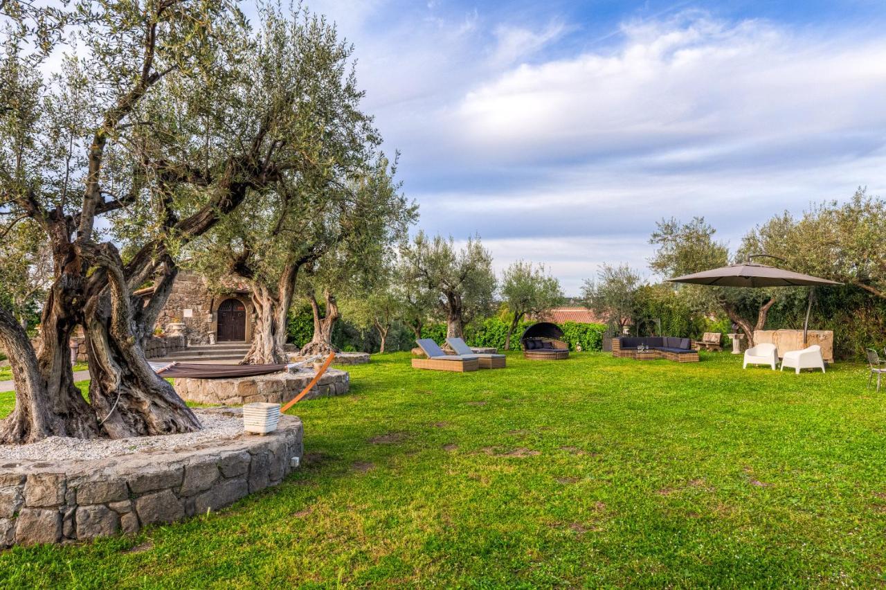 Roman Oasis Villa Ciampino Exteriör bild